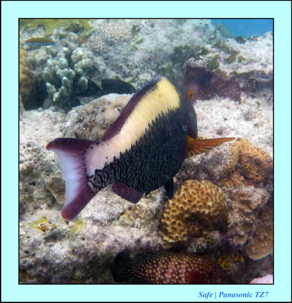 2009   07   Matakin 19